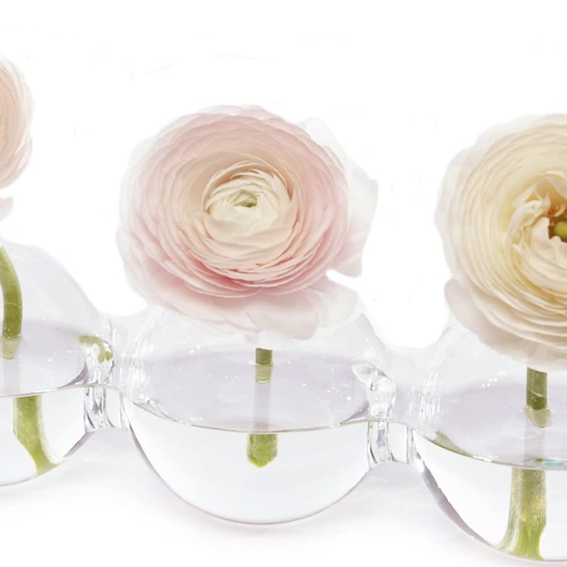 CHIVE â€˜Caterpillarâ€™ Bubble Bud Vase for Centerpieces â€” 4 Hole Multi Chamber Clear Glass Flower Vase for Short Flowers â€” Large, 13â€ Long - Image 2